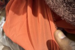 IMG_1345
